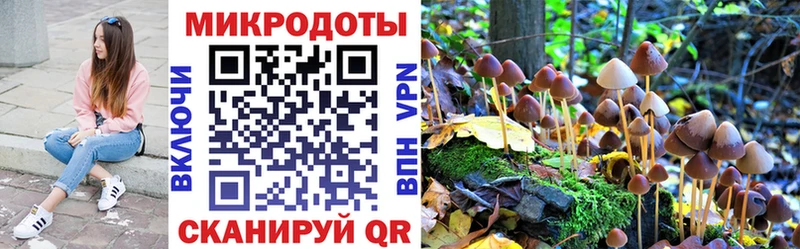 Псилоцибиновые грибы ЛСД  Байкальск 